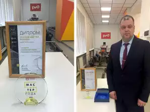 Мастер года